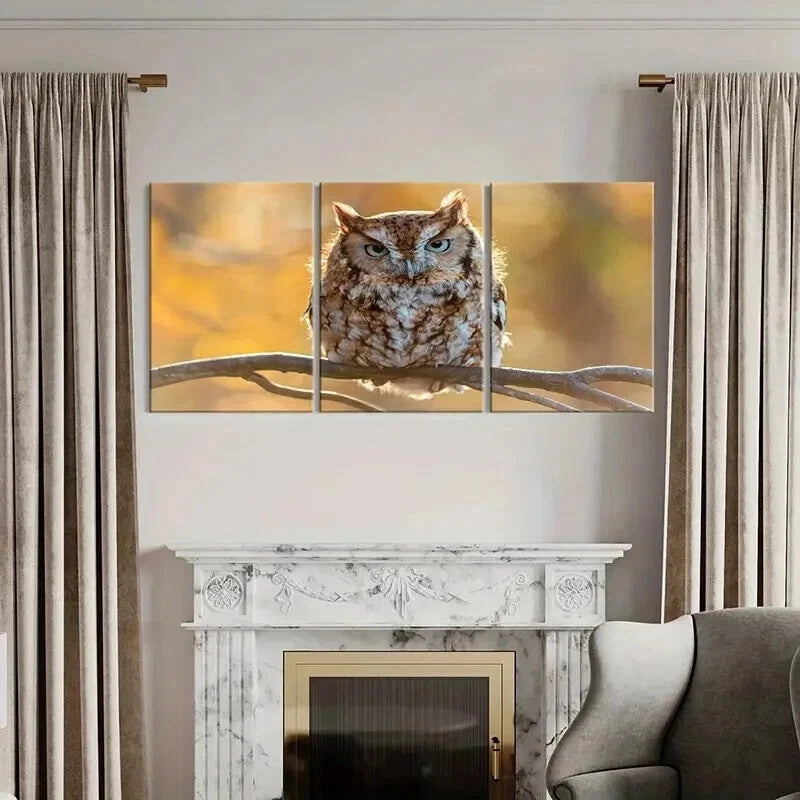 3pcs Animal Art Cute Owl Bird on a Branch Wall Art Set Canvas Framed 40x60cm - High Quality Print 100% Australian Made Wall Canvas Ready to Hang