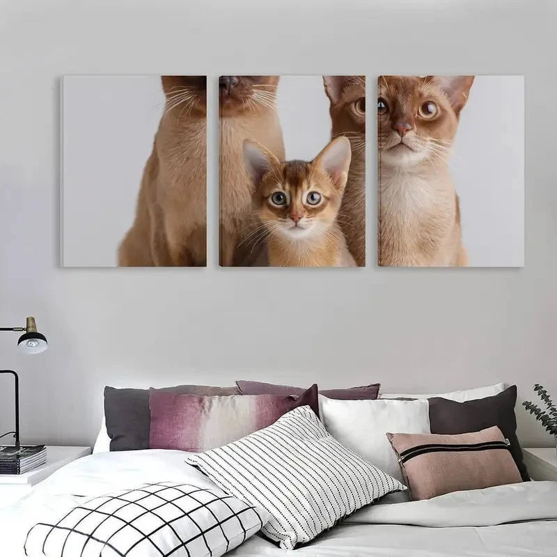 3pcs Three Brown Cats of Different Sizes Wall Art Set Canvas Framed 60x90cm - High Quality Print 100% Australian Made Wall Canvas Ready to Hang