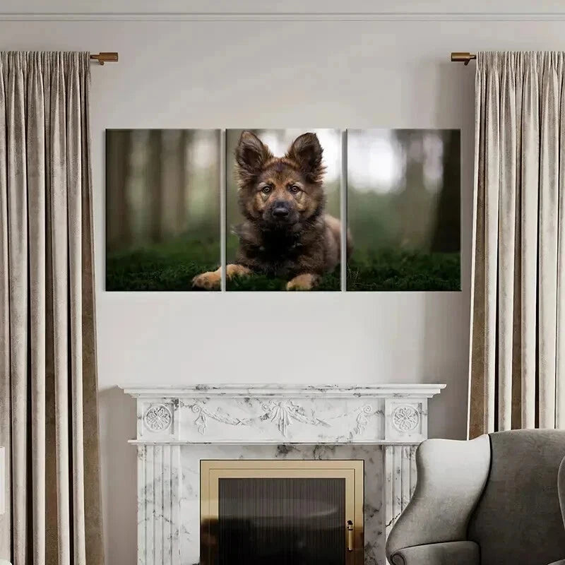 3pcs Brownish Dog Puppy Sitting on Grass Wall Art Set Canvas Framed 40x60cm - High Quality Print 100% Australian Made Wall Canvas Ready to Hang