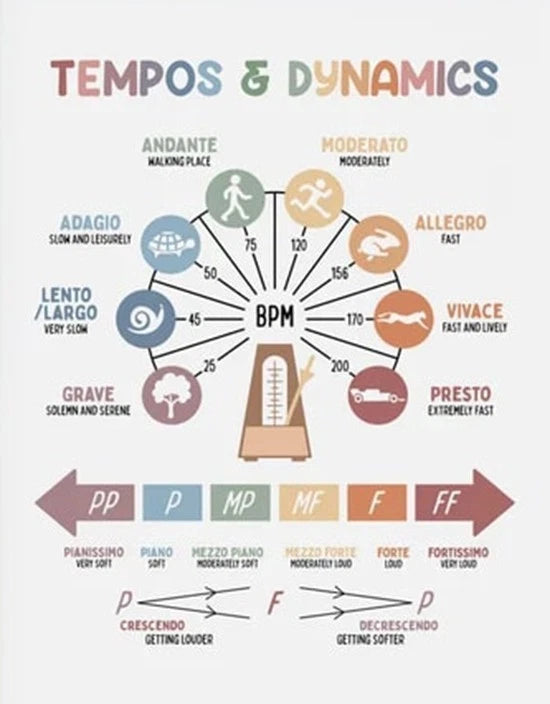 NEW (LAMINATED) THE SPORTS SPORT BALLS (6NEW (LAMINATED) TEMPOS & DYNAMICS (61X91CM) EDUCATIONAL CHART PICTURE PRINT1X91CM) LEARNING CHART PICTURE PRINT
