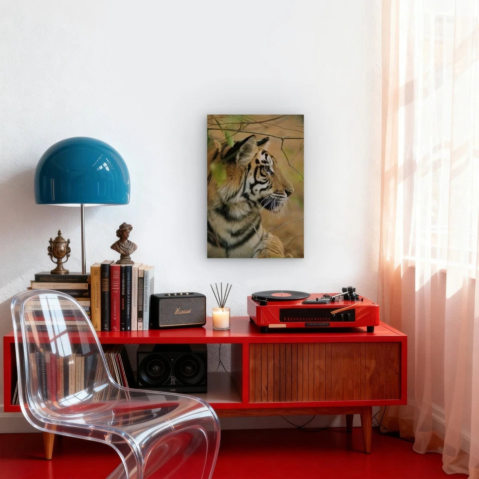 Majestic Tiger Metal Print Ready to Hang