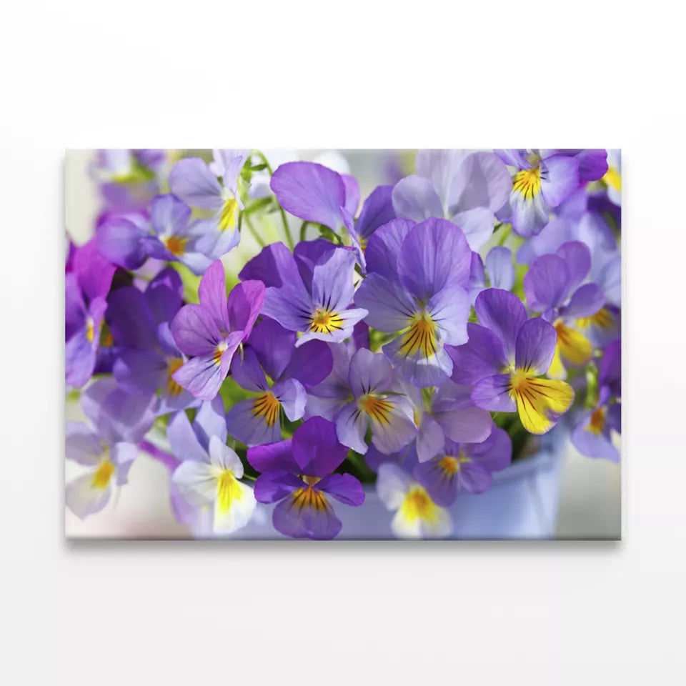 Blue, Purple Flowers Violets Wall Art Decor 100% Australian Made