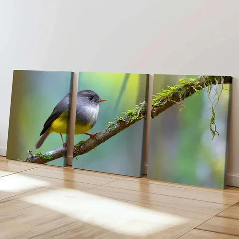 3pcs Tiny Bird On A Small Branch Wall Art Set Canvas Unframed - High Quality Print 100% Australian Made Wall Canvas