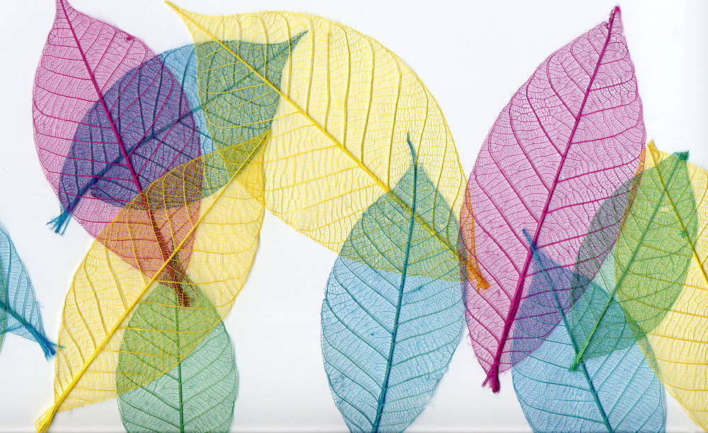 Colourful Leaves Print 100% Australian Made