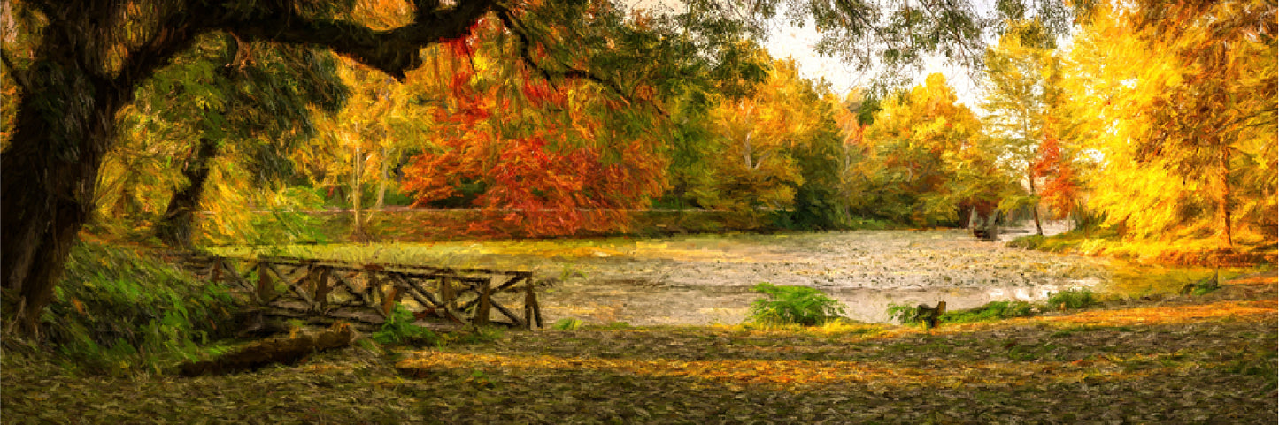 Panoramic Canvas Autumn Forest High Quality 100% Australian made wall Canvas Print ready to hang