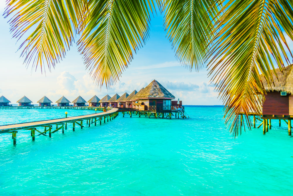 Stunning Beach with Wooden Pier & Resort Print 100% Australian Made