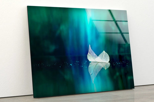 White Leaf Photograph Acrylic Glass Print Tempered Glass Wall Art 100% Made in Australia Ready to Hang