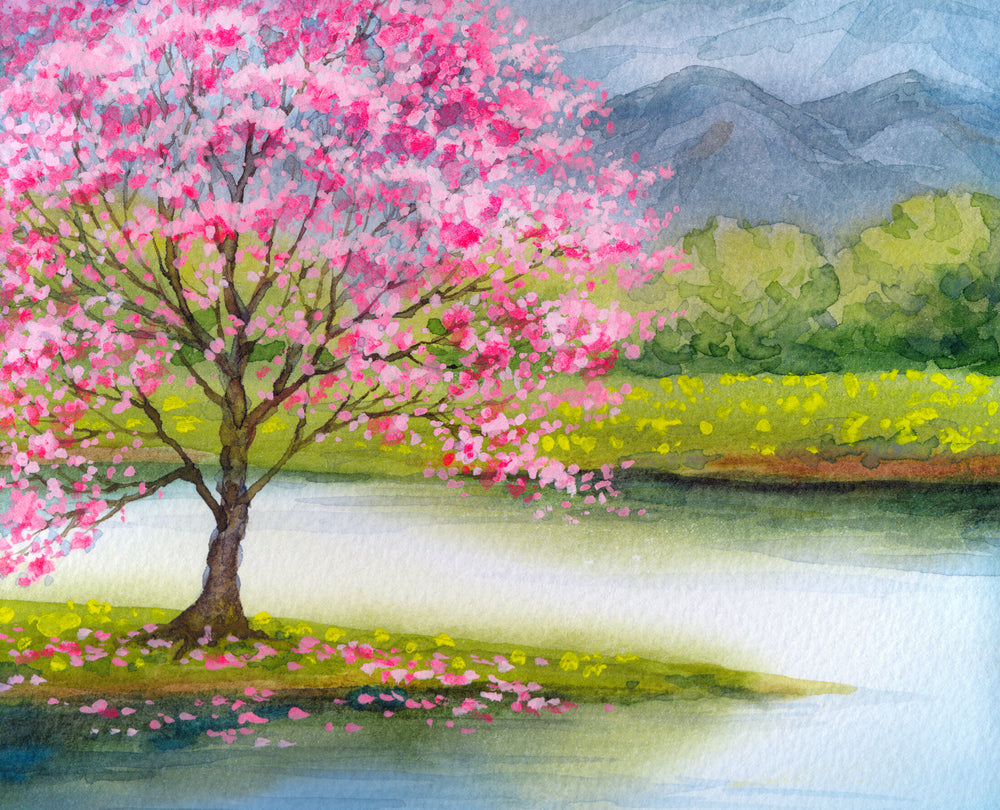 Blossom Tree near Lake Watercolor Painting Print 100% Australian Made