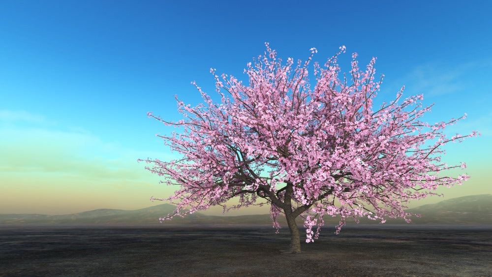 Pink Tree in Dry Land Digital Art Home Decor Premium Quality Poster Print Choose Your Sizes