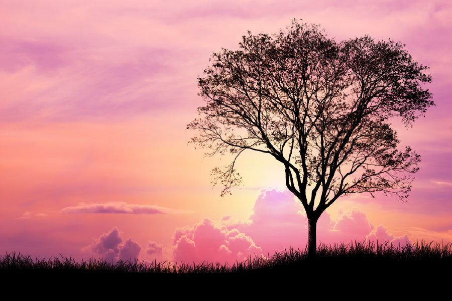 Silhouette Tree & Grass Pink Sky Scenery View Print 100% Australian Made