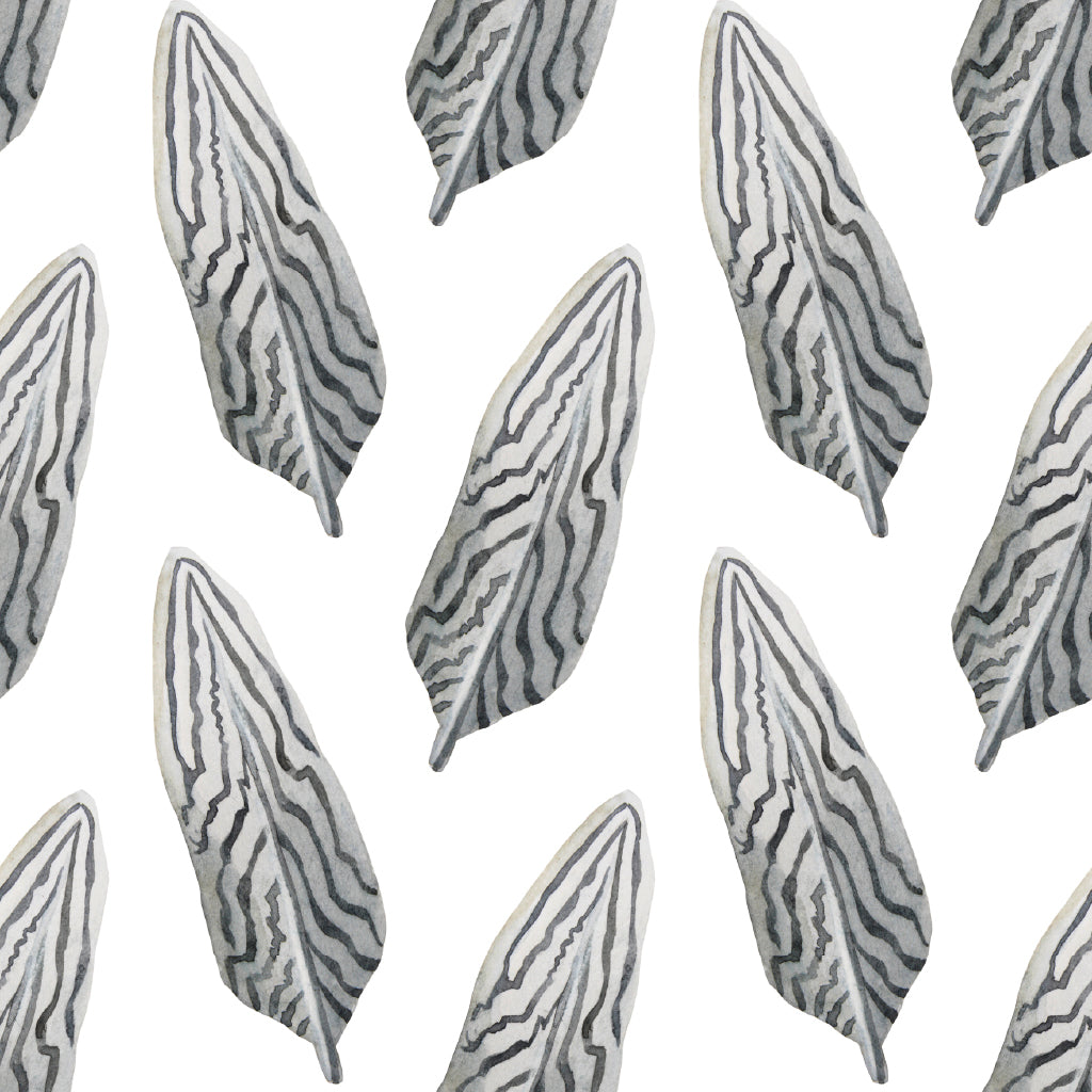 Square Canvas Bird Feathers with Stripe Art Design High Quality Print 100% Australian Made