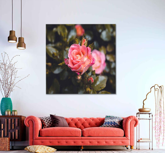 Square Canvas Pink Rose Closeup View Photograph High Quality Print 100% Australian Made