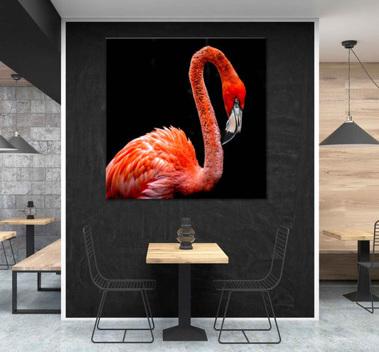 Square Canvas Red Flamingo Bird Photograph High Quality Print 100% Australian Made