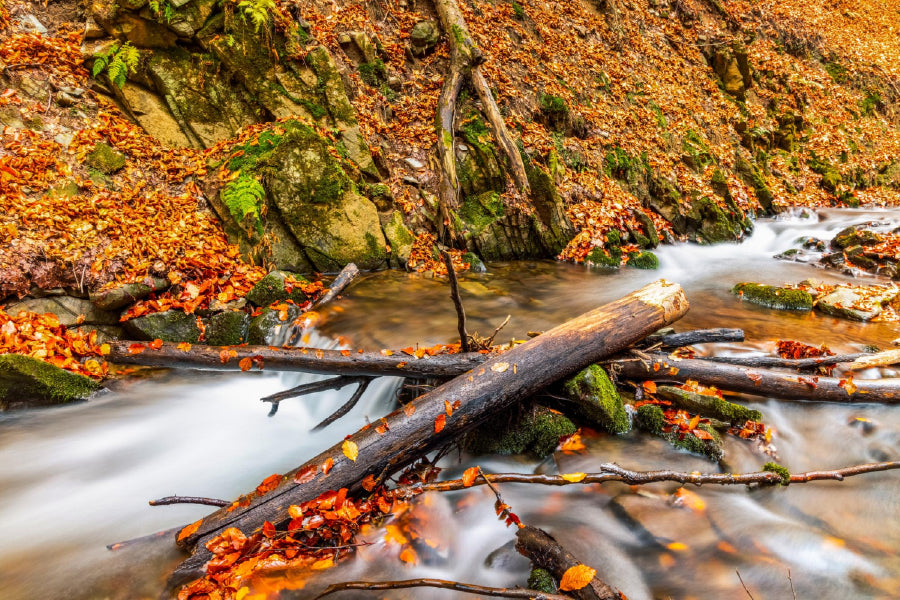 Small Waterfall & Autumn Forest View Photograph Home Decor Premium Quality Poster Print Choose Your Sizes