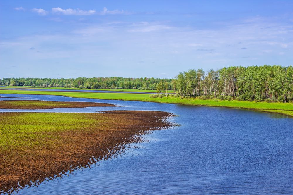River & Forest Scenery Photograph Print 100% Australian Made