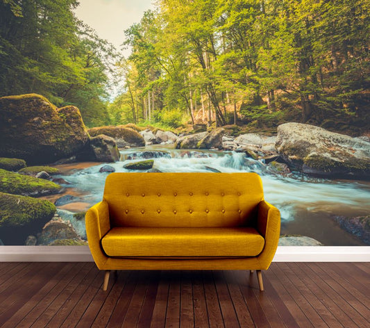 Wallpaper Murals Peel and Stick Removable Stunning Water Stream High Quality
