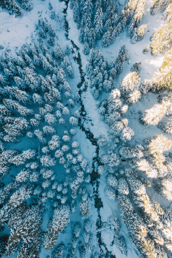Snow Forest Trees & River Aerial View Photograph Home Decor Premium Quality Poster Print Choose Your Sizes