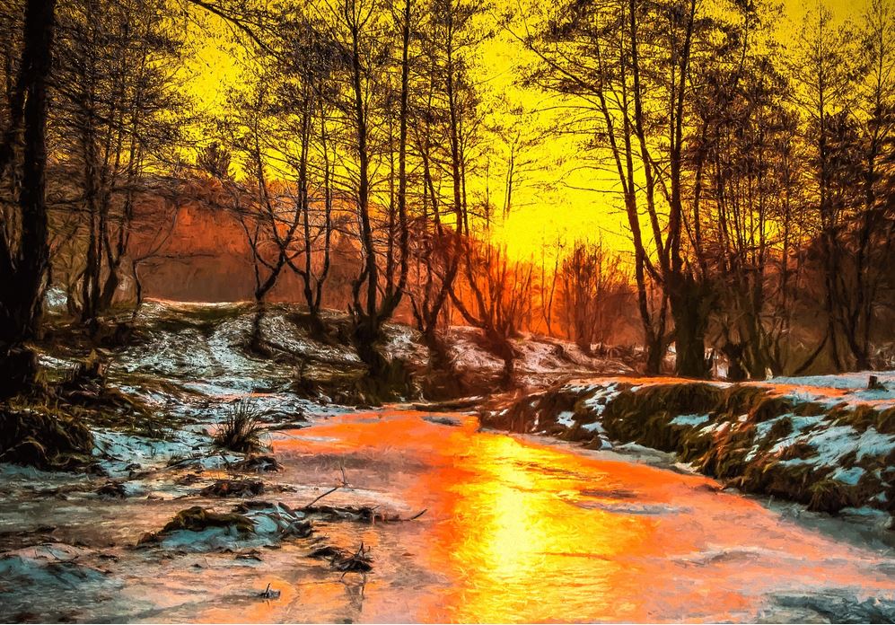 Sunset View in Forest Print 100% Australian Made