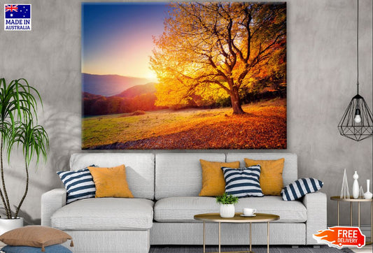 Stunning Sunset View & Autumn Tree Print 100% Australian Made