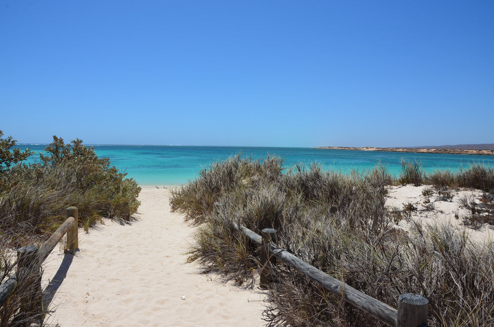 Sand Path to Beach Photograph Print 100% Australian Made