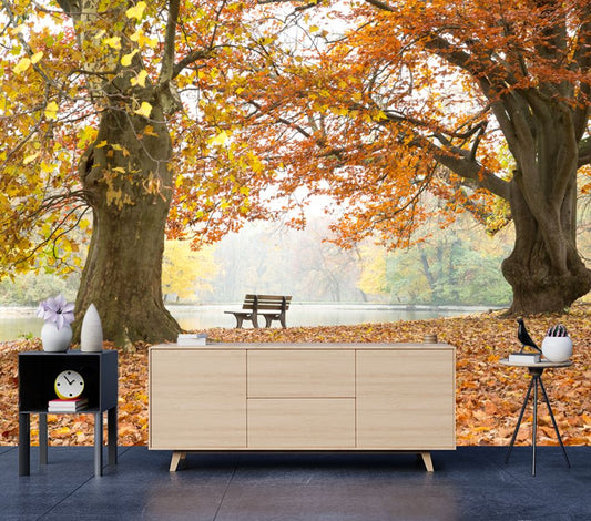 Wallpaper Murals Peel and Stick Removable Autumn Park View High Quality