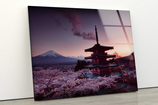 Castle & Blossom Trees with Mount Fuji View Photograph Acrylic Glass Print Tempered Glass Wall Art 100% Made in Australia Ready to Hang
