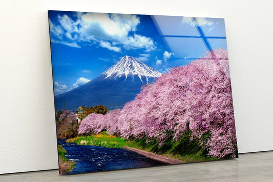 Blossom Trees Along River Mountain View Photograph Acrylic Glass Print Tempered Glass Wall Art 100% Made in Australia Ready to Hang