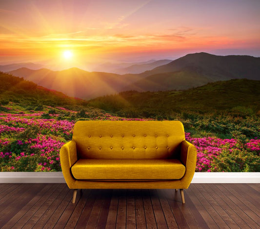 Wallpaper Murals Peel and Stick Removable Floral Field at Sunset Photograph High Quality
