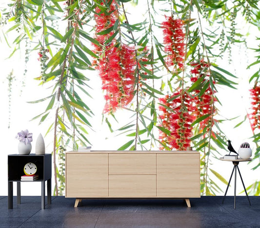 Wallpaper Murals Peel and Stick Removable Red Bottle Brush Flower Tree High Quality