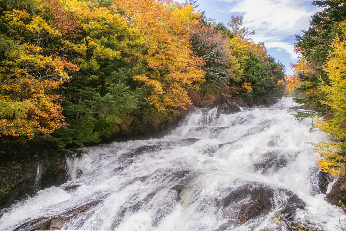 Bella Home Waterfall & Autumn Trees Around Print Canvas Ready to hang