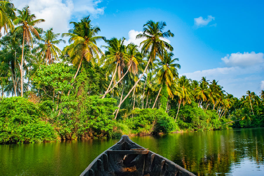 Palm Trees & Forest View From Boat Photograph Print 100% Australian Made