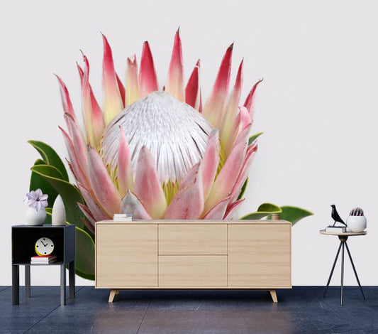 Wallpaper Murals Peel and Stick Removable Red Protea Flower High Quality