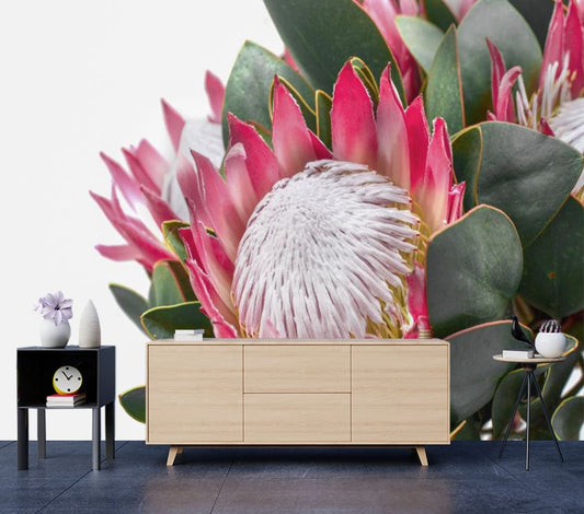 Wallpaper Murals Peel and Stick Removable King Protea Flower High Quality