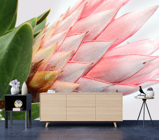 Wallpaper Murals Peel and Stick Removable Red Protea Plant High Quality