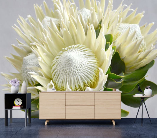 Wallpaper Murals Peel and Stick Removable White Protea Flower High Quality
