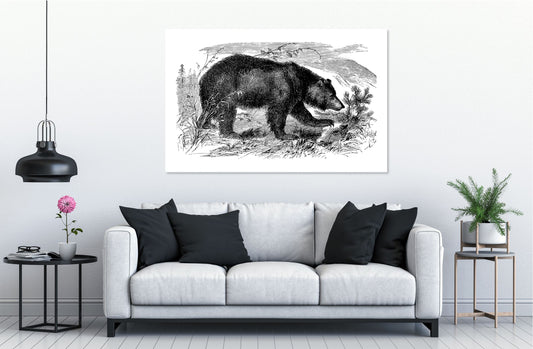 Bear Animal line art Minimalist Print 100% Australian Made