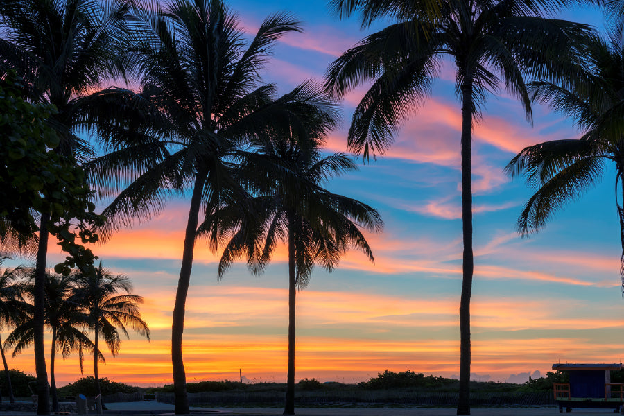 Miami Beach Palm Tree Sunset View Photograph Print 100% Australian Made