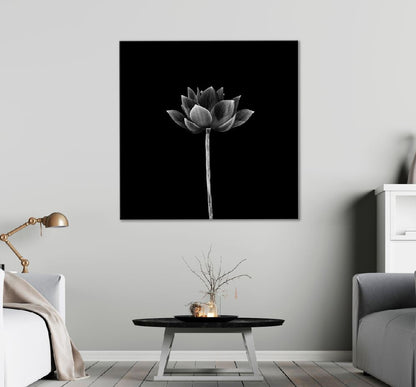 Square Canvas Lotus Flower on Dark B&W View High Quality Print 100% Australian Made