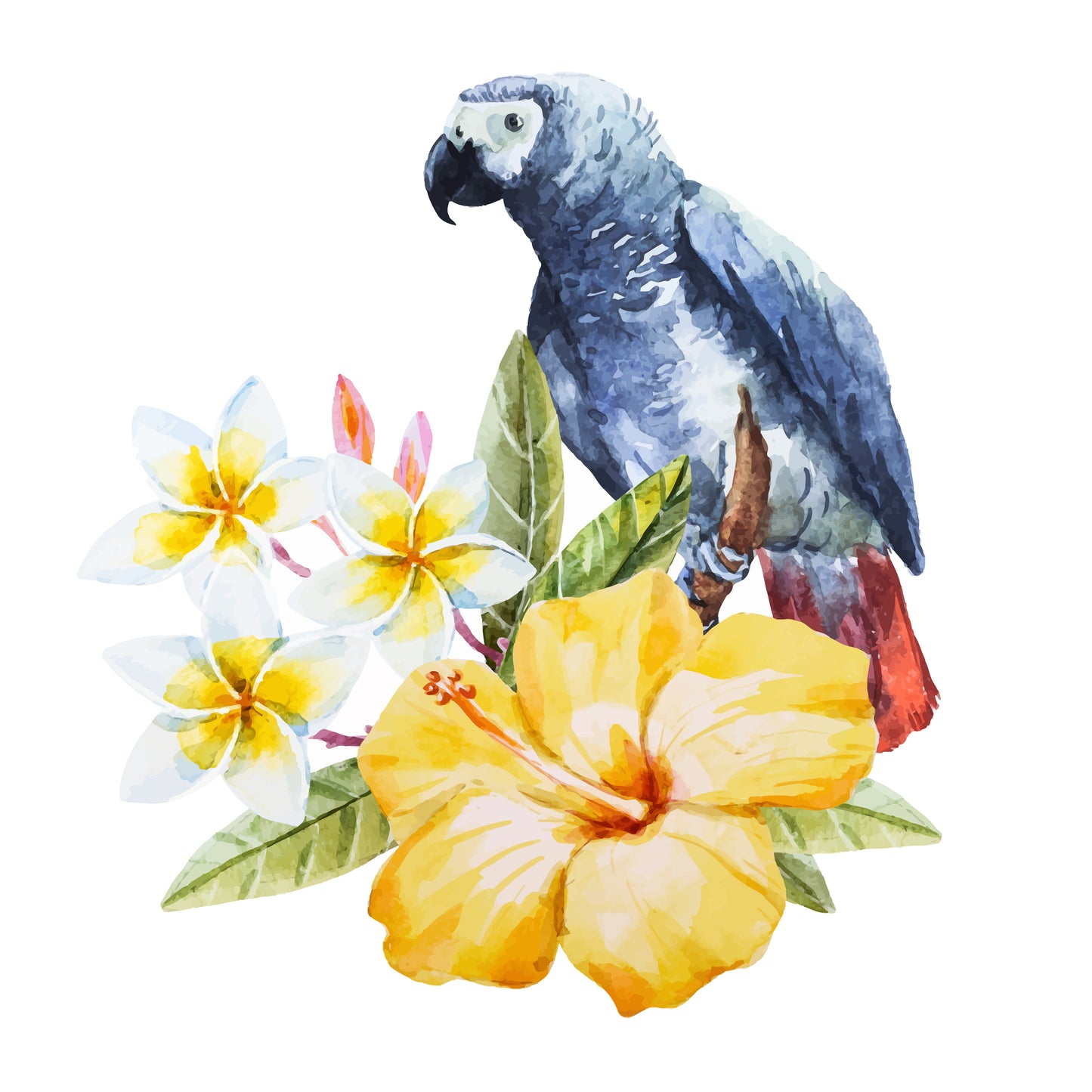 Square Canvas Bird & Flowers Watercolor Painting High Quality Print 100% Australian Made
