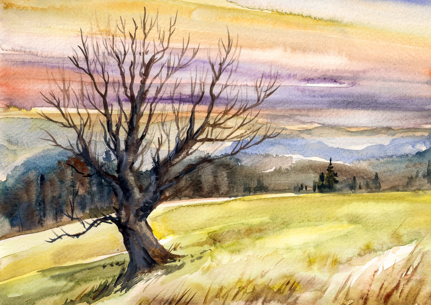 Nature Watercolor Painting Print 100% Australian Made