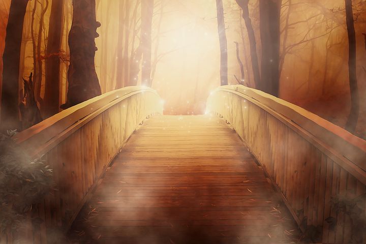 Bridge in Forest Digital Art Print 100% Australian Made