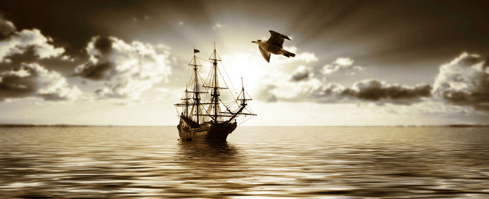 Vintage Ship Sailing on Beach Photograph Print 100% Australian Made