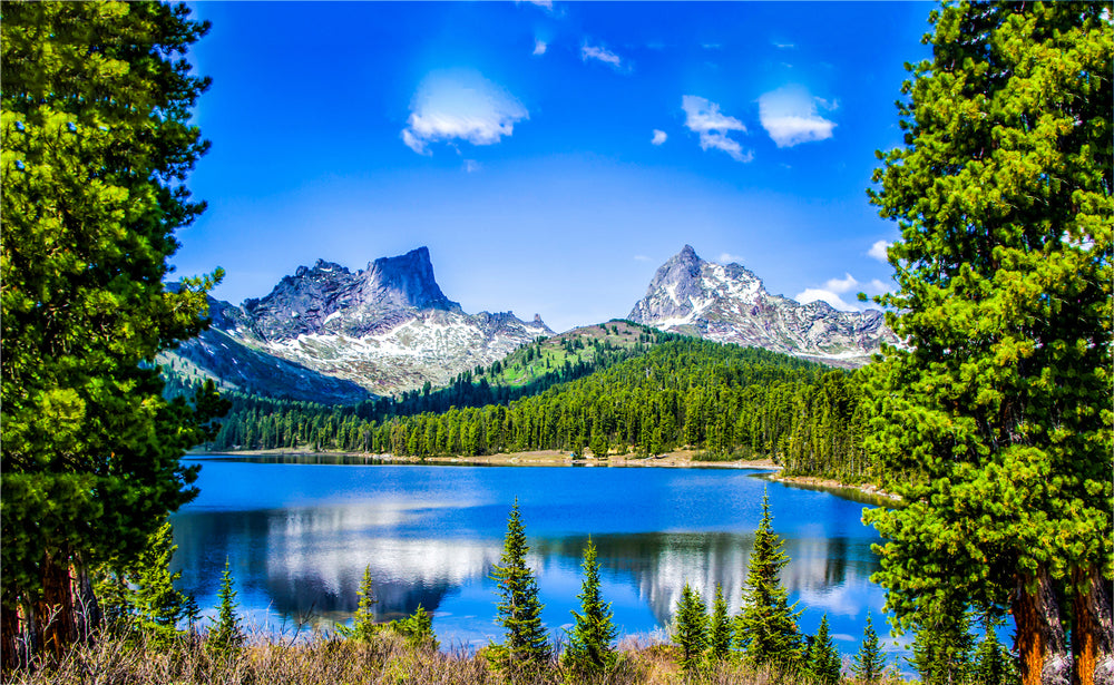 Lake, Mountain & Forest Scenery Photograph Print 100% Australian Made