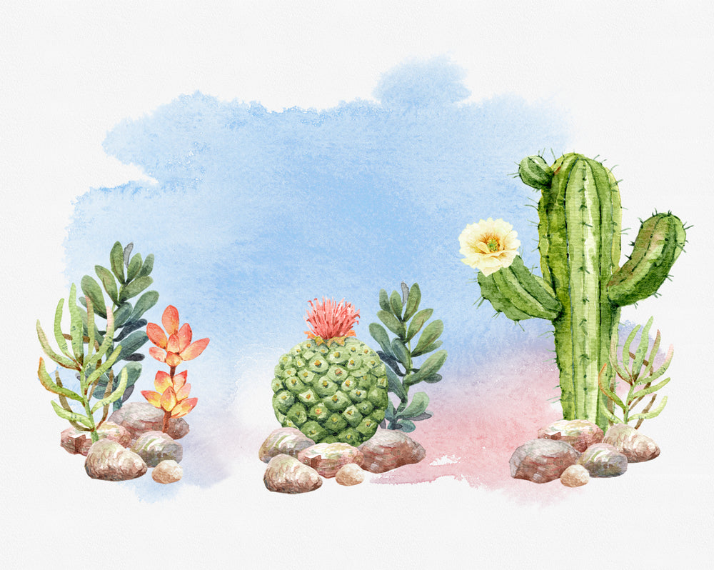 Cactus Plants Watercolor Painting Print 100% Australian Made