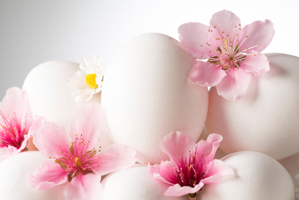 Blossom Trees & Eggs Photograph Home Decor Premium Quality Poster Print Choose Your Sizes