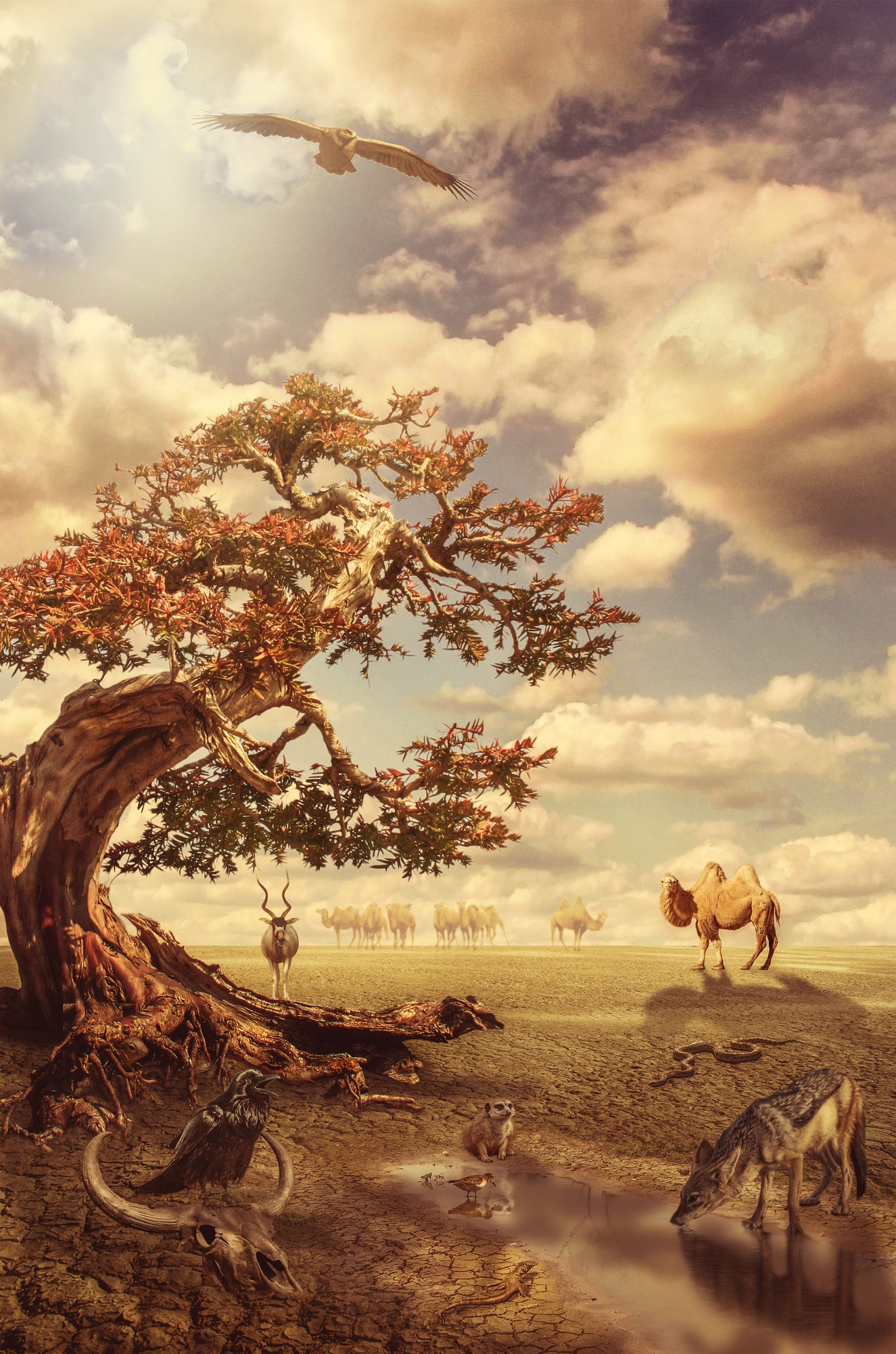 Animals in Dried Forest Design Home Decor Premium Quality Poster Print Choose Your Sizes