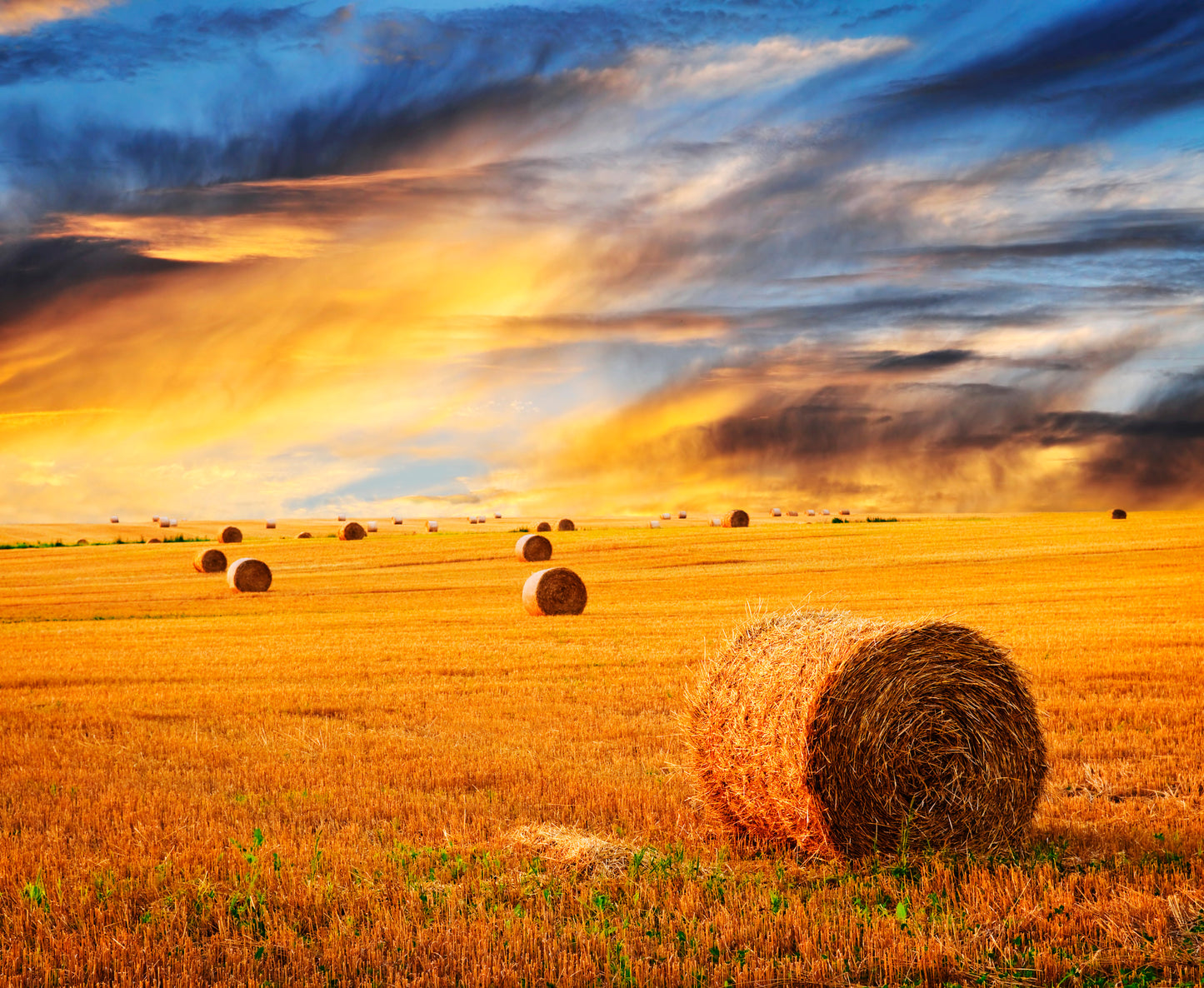 Hay Stacks on Field Photograph Home Decor Premium Quality Poster Print Choose Your Sizes