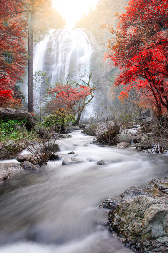 Stunning Waterfall Scenery View Home Decor Premium Quality Poster Print Choose Your Sizes