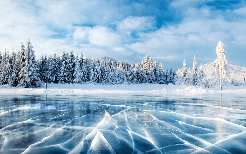 Frozen Lake Near Forest Scenery Photograph Home Decor Premium Quality Poster Print Choose Your Sizes