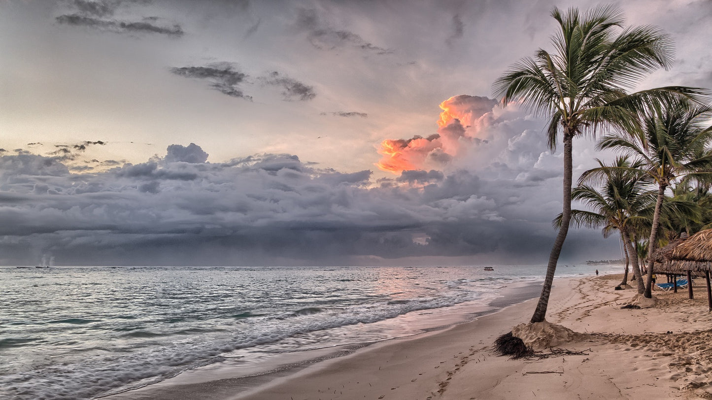 Sea View with Grey Sky & Palm Trees Photograph Print 100% Australian Made